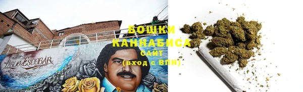 спиды Каменногорск